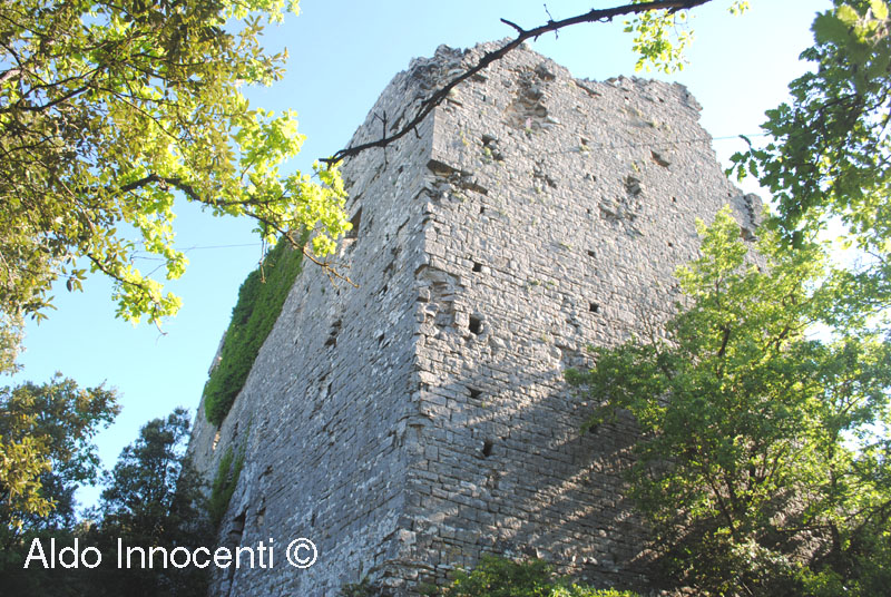 CASTELLO DI MONTEGROSSI: MASTIO 2' IMMAGINE